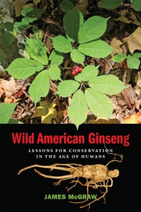 Wild Ameri &hellip;