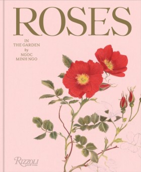 Roses in t &hellip;