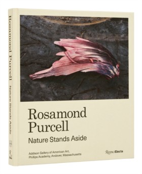 Rosamond P &hellip;
