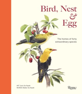 Bird, Nest &hellip;