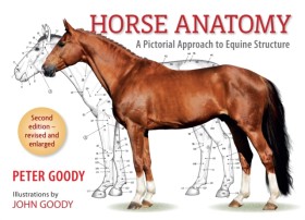 Horse Anat &hellip;