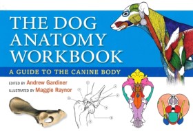 Dog Anatom …