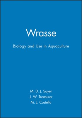 Wrasse