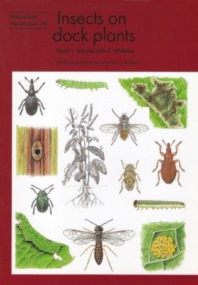 Insects on &hellip;