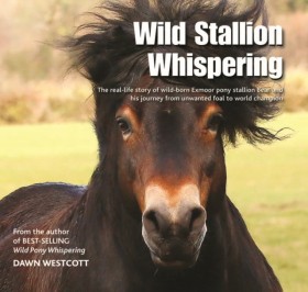 Wild Stall &hellip;