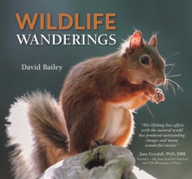 Wildlife W &hellip;