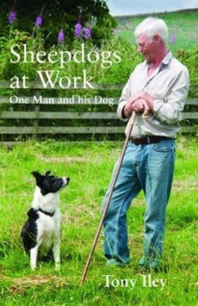 Sheepdogs …