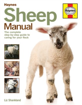 Sheep Manu &hellip;