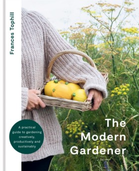 The Modern …