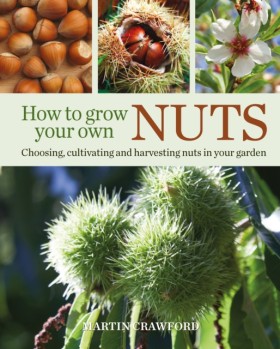 How to Gro &hellip;