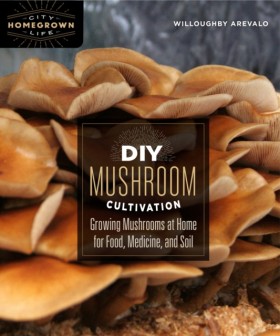 DIY Mushro …