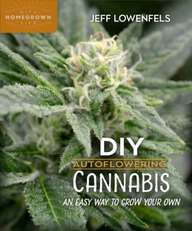 DIY Autofl …