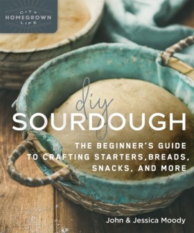 DIY Sourdo &hellip;