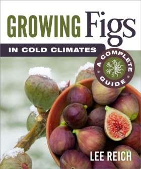 Growing Fi …