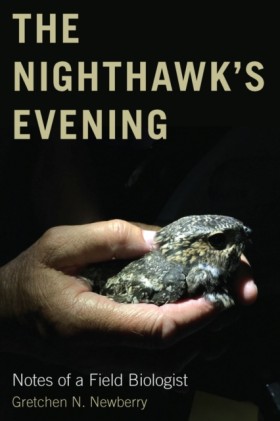 The Nighth …