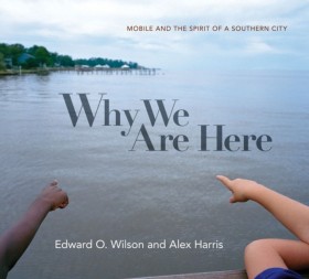 Why We Are &hellip;