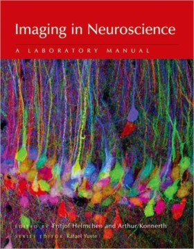 Imaging in …