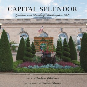 Capital Sp &hellip;