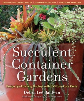 Succulent …