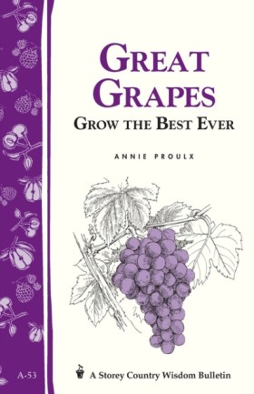 Great Grap …