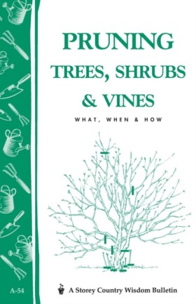 Pruning Tr &hellip;