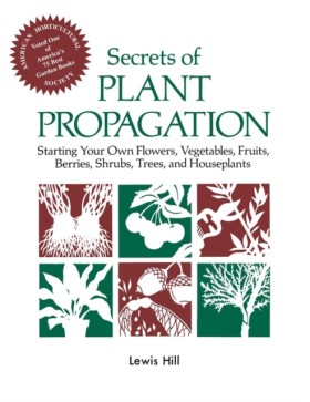 Secrets of &hellip;