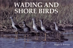 Wading and &hellip;