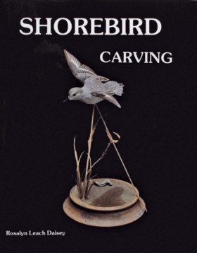 Shorebird …