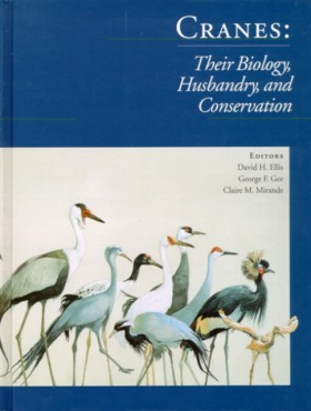 Cranes The &hellip;