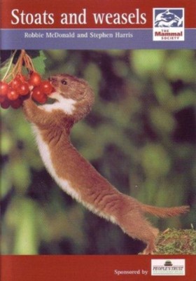 Stoats and …