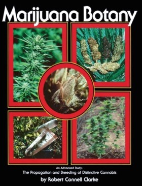 Marijuana &hellip;
