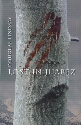 Lost in Ju …