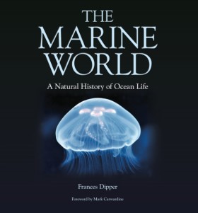 The Marine …
