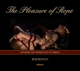 The Pleasu &hellip;