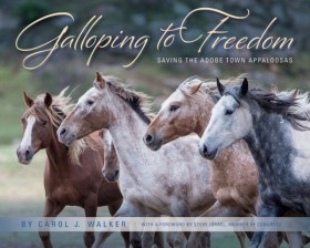 Galloping &hellip;