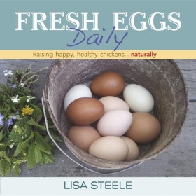 Fresh Eggs …
