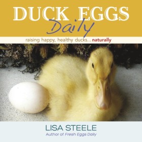 Duck Eggs …