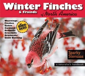 Winter Fin …