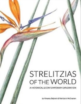 Strelitzia &hellip;