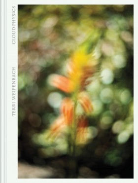Terri Weif …