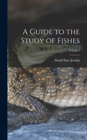 A Guide to &hellip;