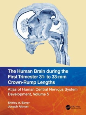 The Human &hellip;