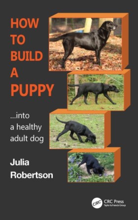 How to Bui …