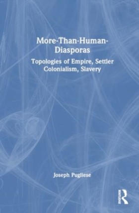 More-Than- &hellip;