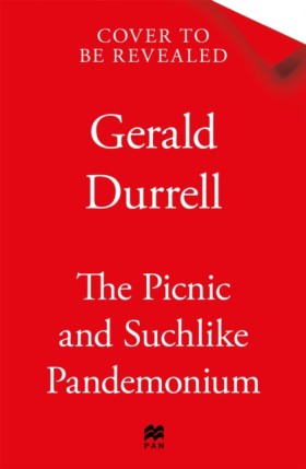 The Picnic &hellip;