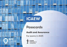 ICAEW Audi &hellip;