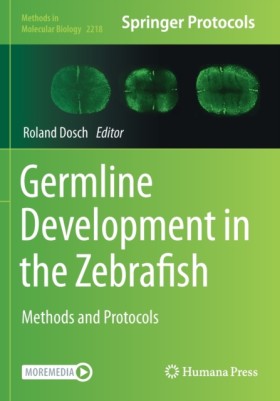 Germline D &hellip;