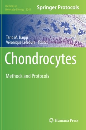Chondrocyt &hellip;