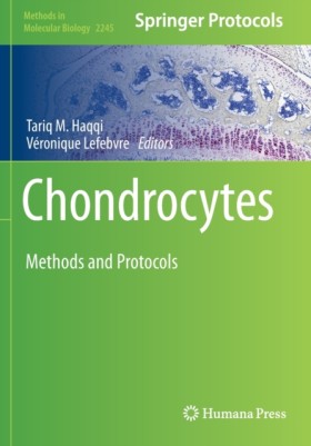 Chondrocyt …