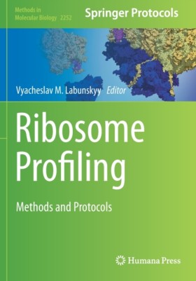 Ribosome P …